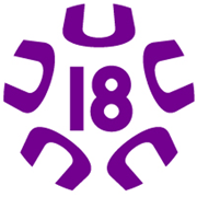 Japanese U18 Prince League