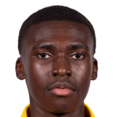 Donte Apinsa