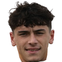Diego Pugno