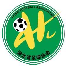 HuBei FA U15