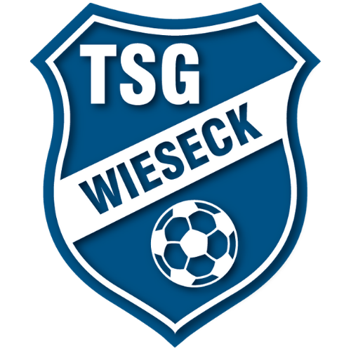 TSG Wieseck U17